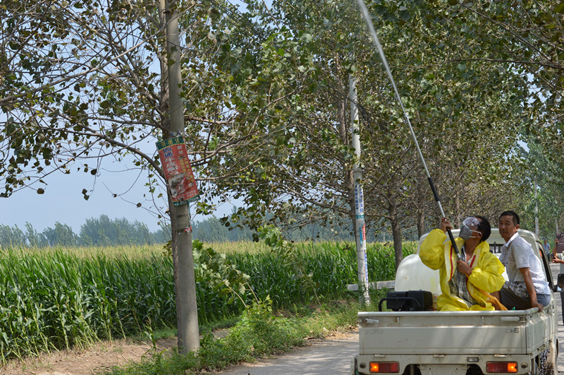 鹿邑专业队防治杨树食叶害虫