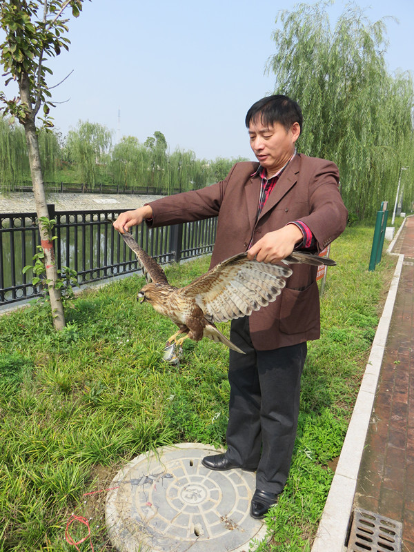 365bet�ȷ־����ŷ�һֻ���Ҷ�����������